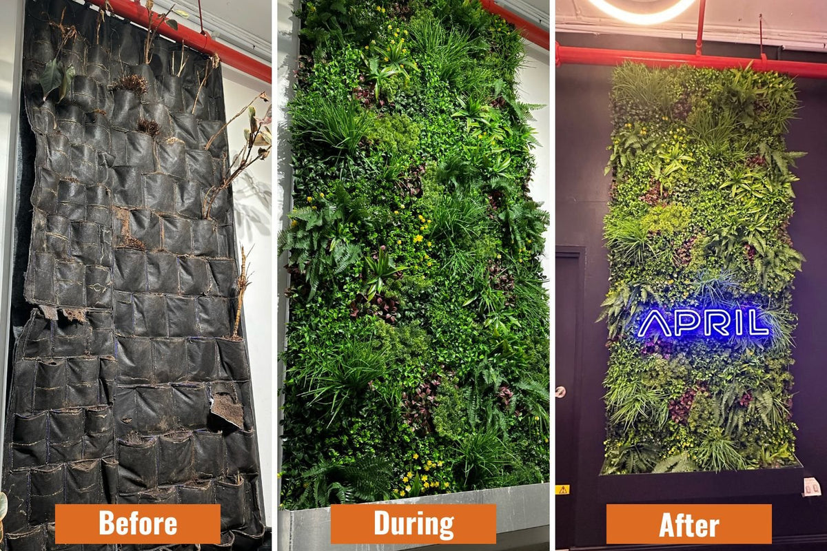 Sample Panel – Country Fern Vertical Garden (Small Sample)