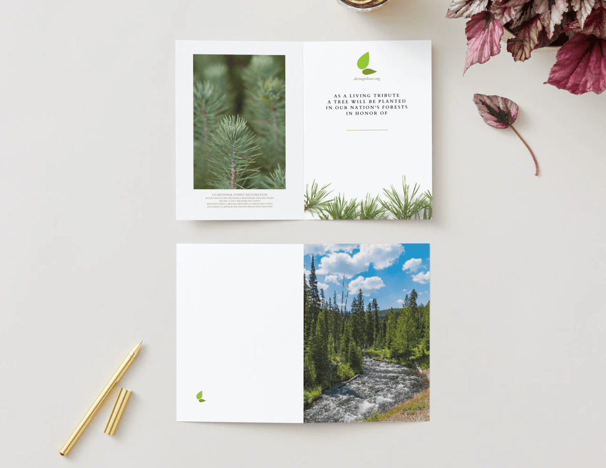Plant-a-Tree Cards - A Living Tribute
