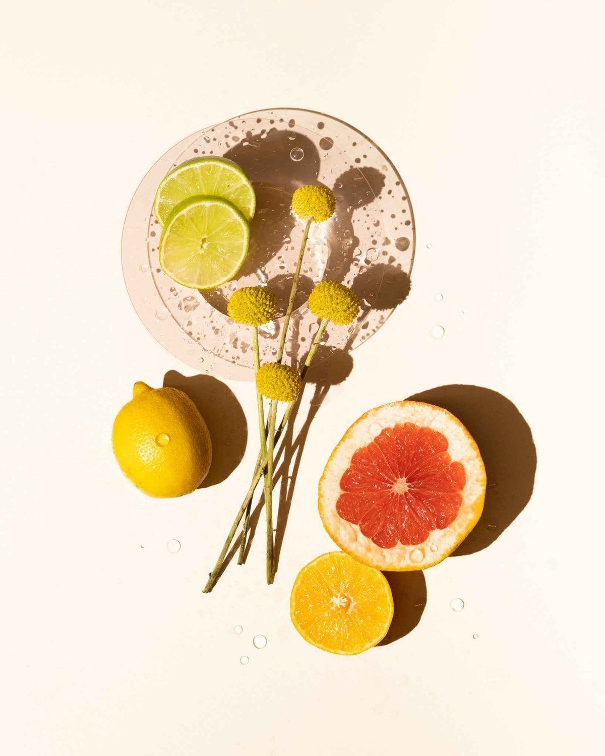 crisp citrus fragrance oil accord