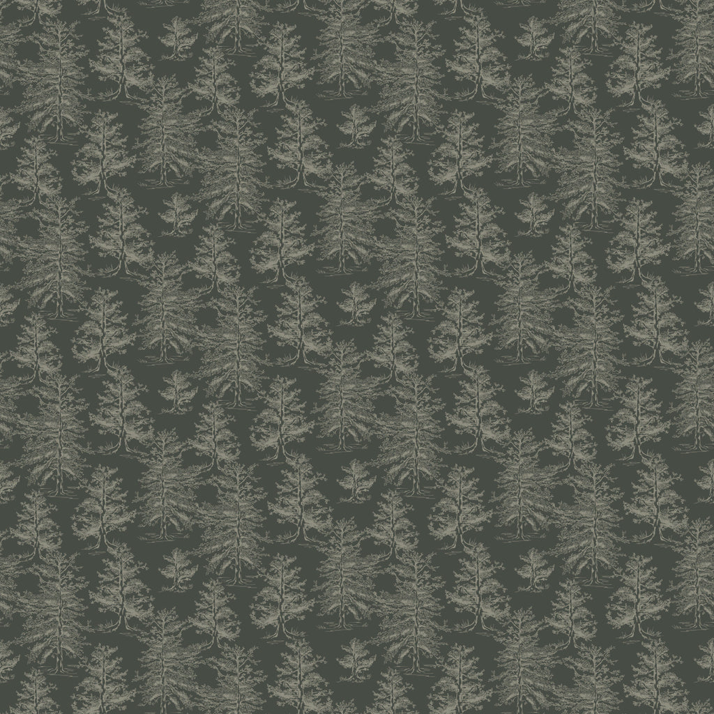 Dakota Wallpaper by Aubrey Fairchild