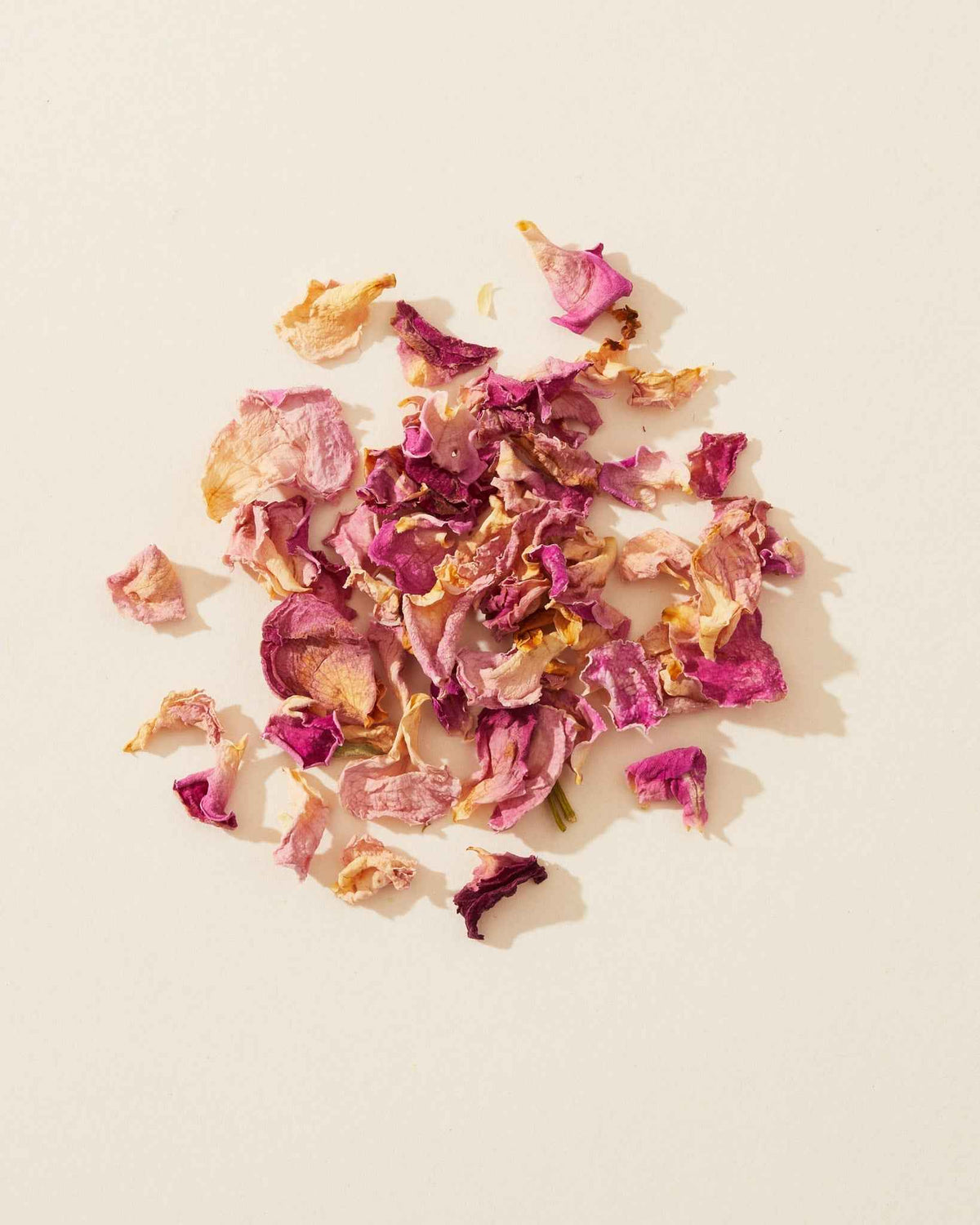 rosebuds & pink petals
