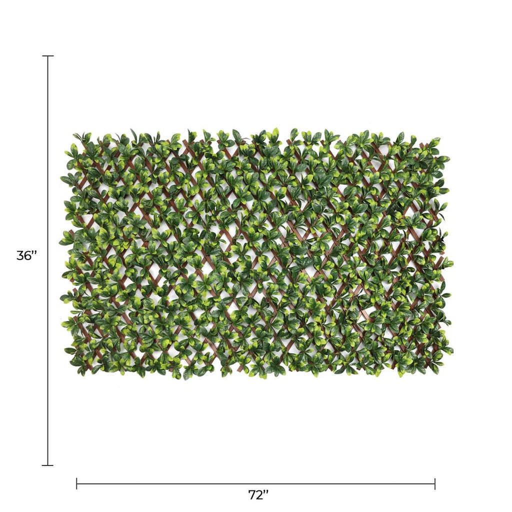 Ligustrum Ficus Expandable Artificial Trellis Privacy Screen – UV Resistant