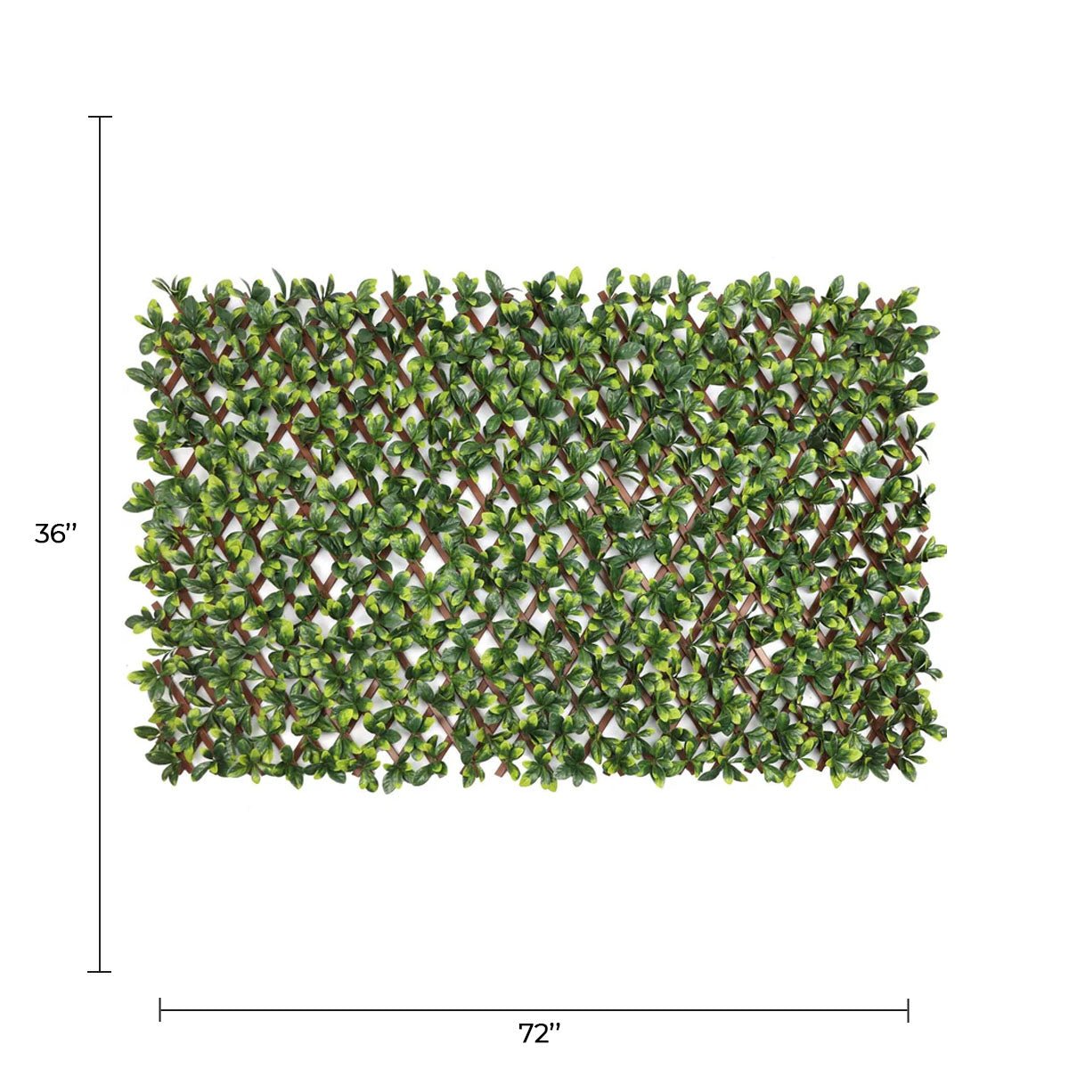 Ligustrum Ficus Expandable Artificial Trellis Privacy Screen – UV Resistant