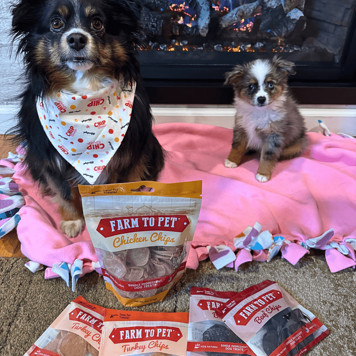 Puppy Packs 'n Snacks Dog Treat Starter Pack | Single-Ingredient Training Treats
