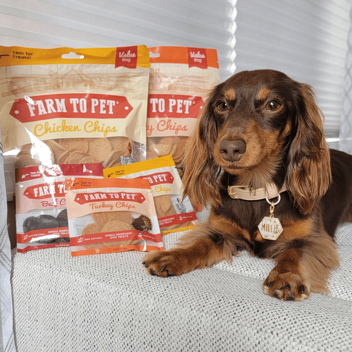 Turkey & Chicken Chip Dog Treat Duo | Single-Ingredient Poultry Treats for Dogs