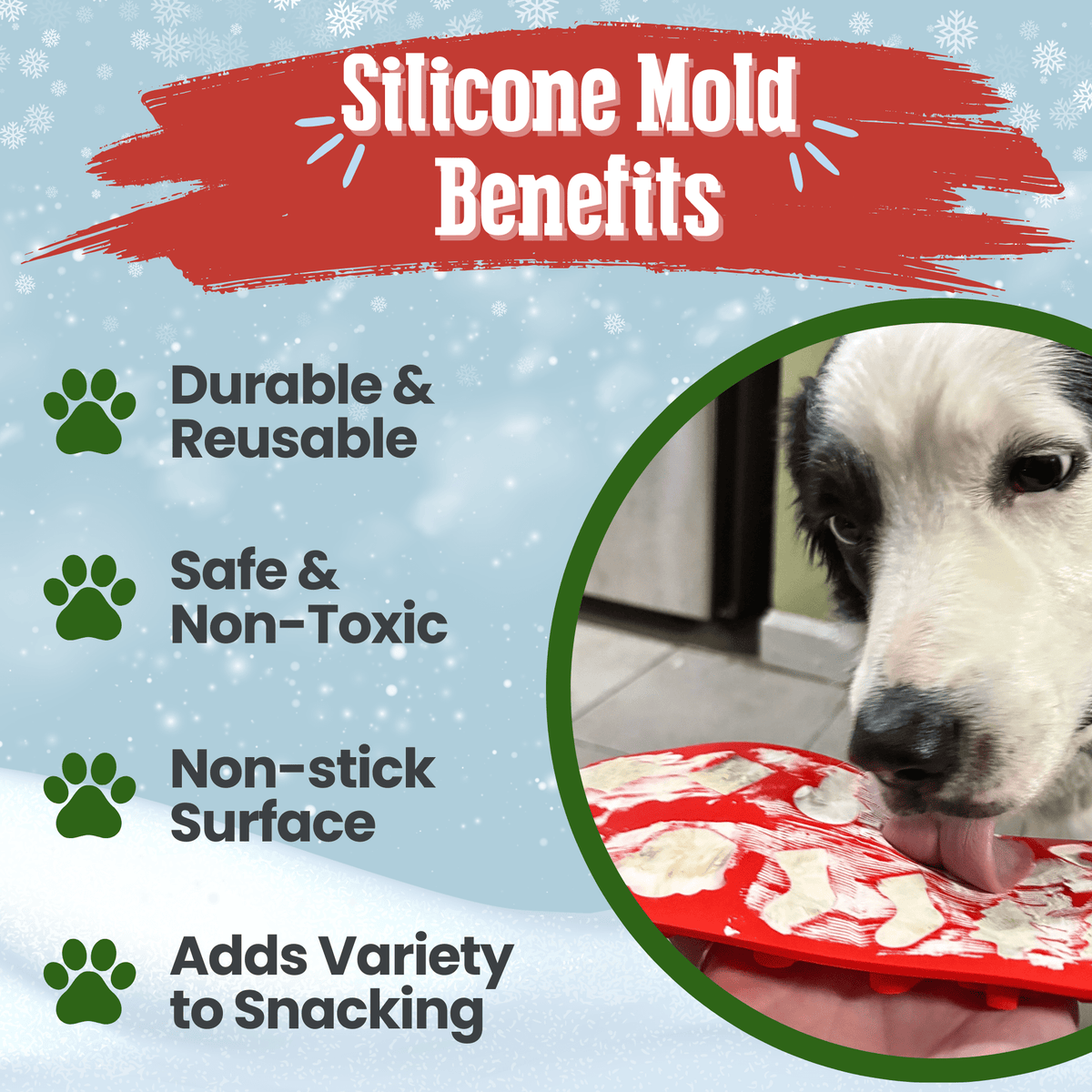 Pet Treat Molds