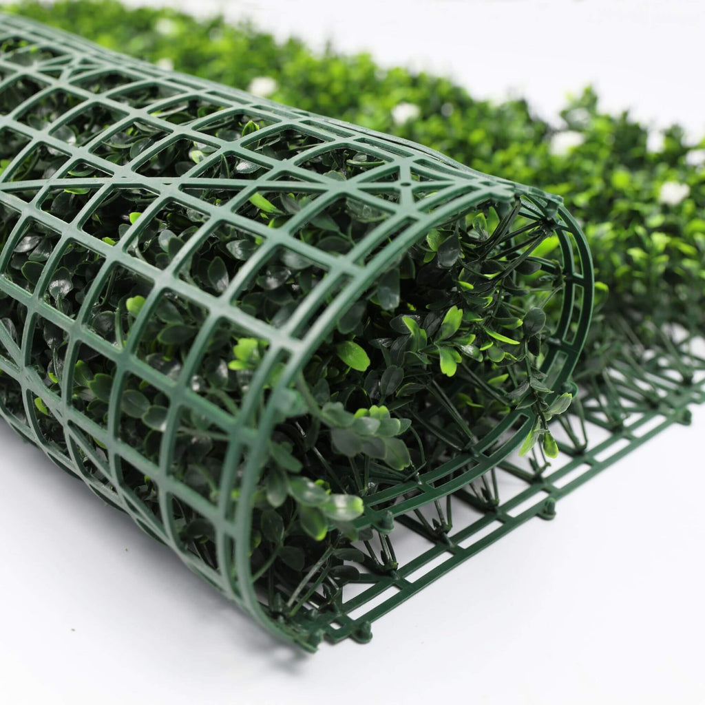 Sample Panel – White Flowering Boxwood Green Wall (Small Sample)