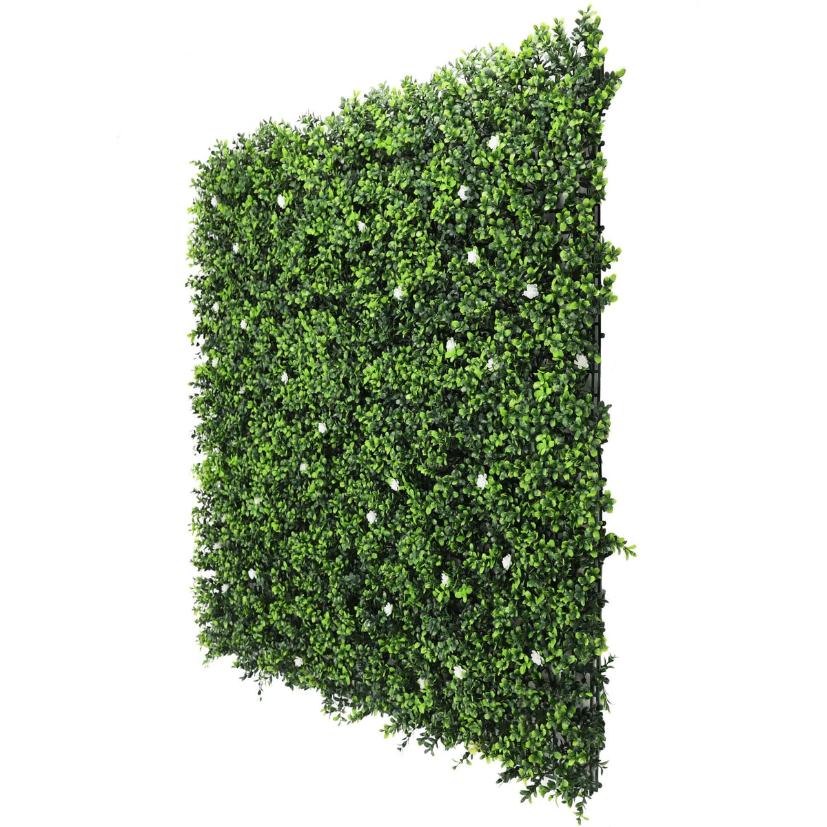 Sample Panel – White Flowering Boxwood Green Wall (Small Sample)