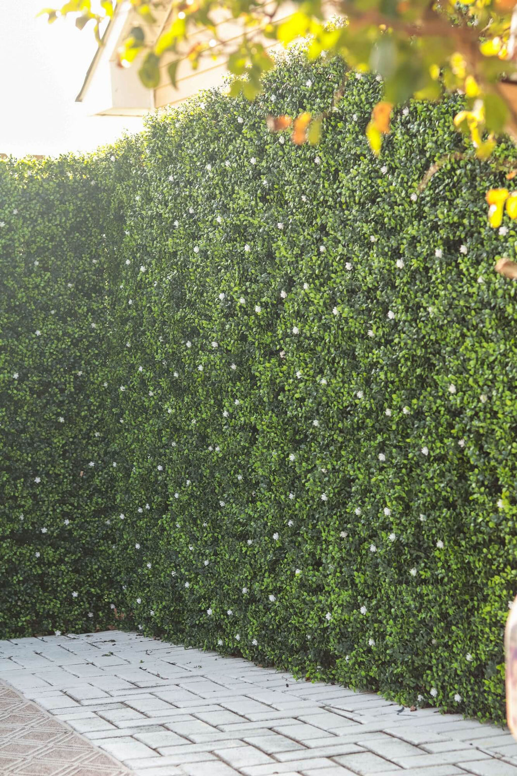 White Flowering Boxwood Artificial Vertical Garden Green Wall Panel 40×40in 11 SQ FT – UV Resistant – Commercial Grade