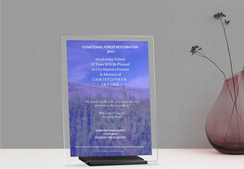 Plant-a-Tree Gift with Deluxe Glass Display Frame