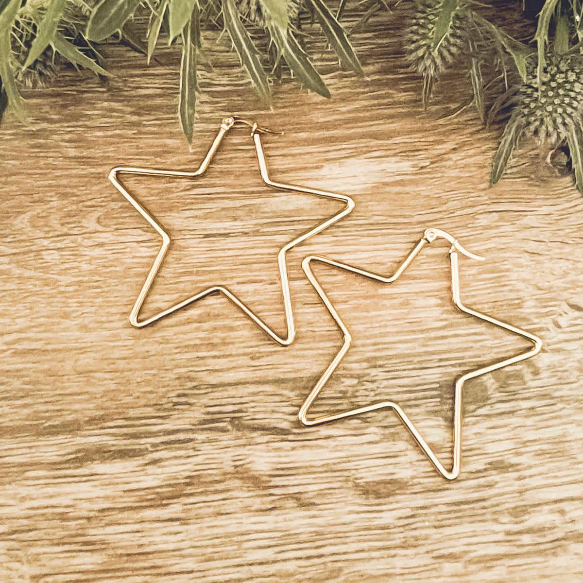 Beautiful Gold or Silver Star Hoop Earrings
