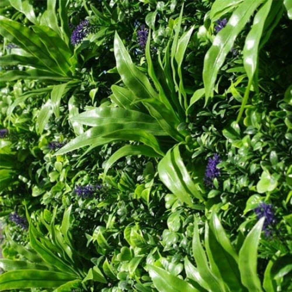 Sample Panel – Lavender Fields Green Wall (Small Sample)