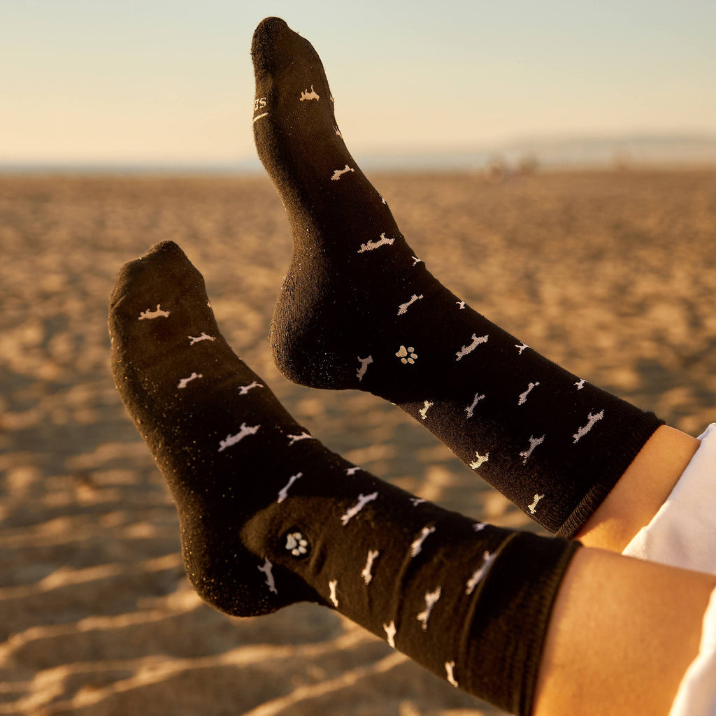 Socks that Save Dogs
