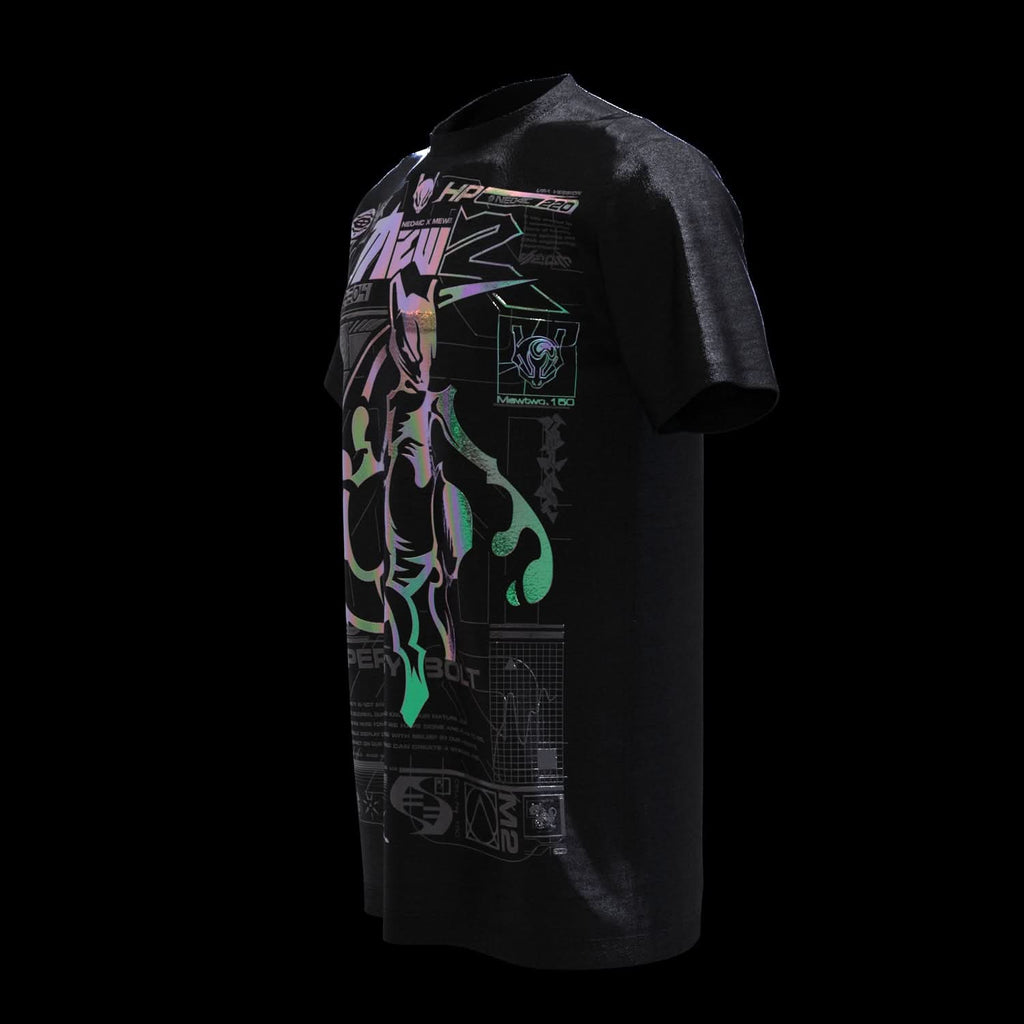 M3-W2 (Holographic)