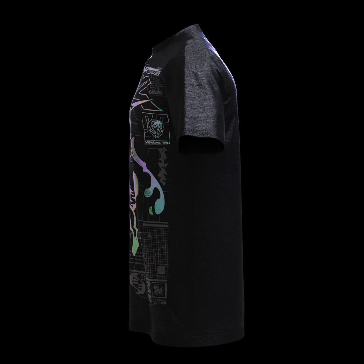M3-W2 (Holographic)