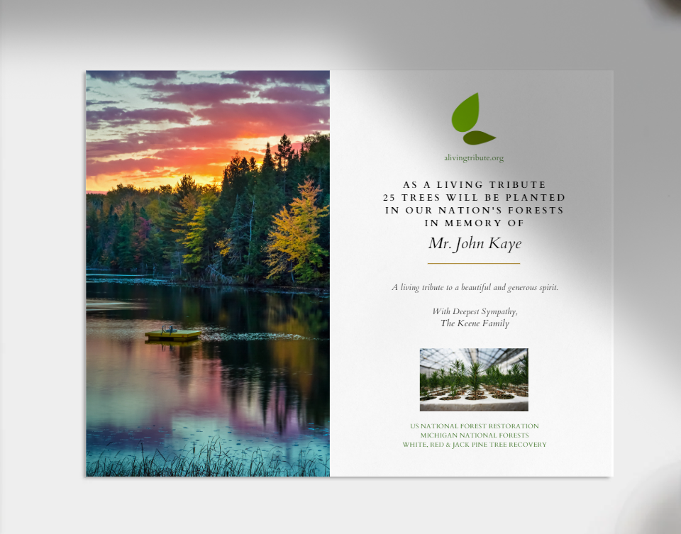 Plant a Tree For Someone in a National Forest - A Living Tribute