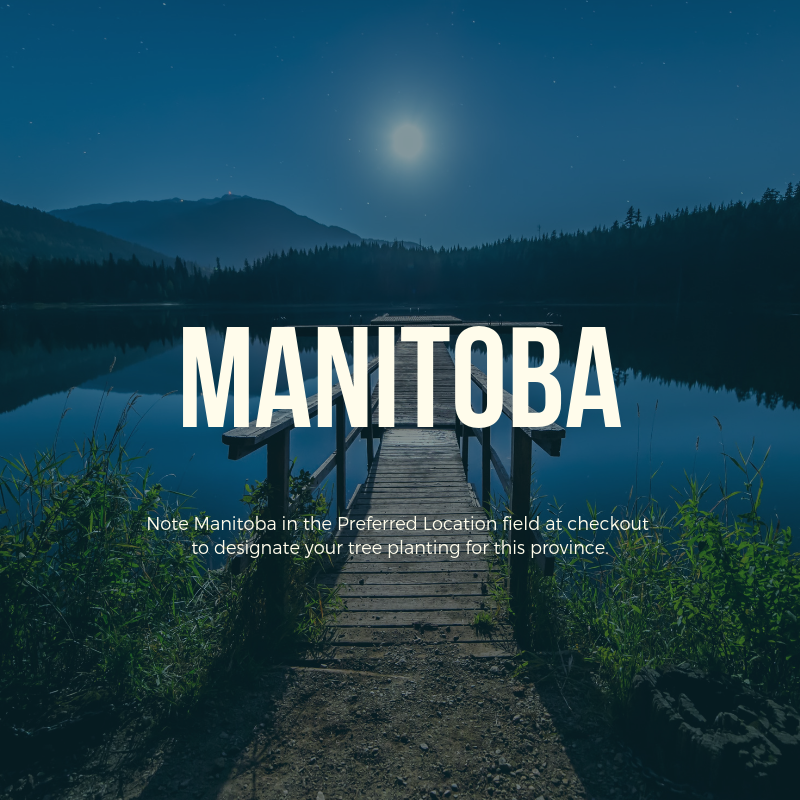 Plant a Tree in Canada with Personalized Photo Card