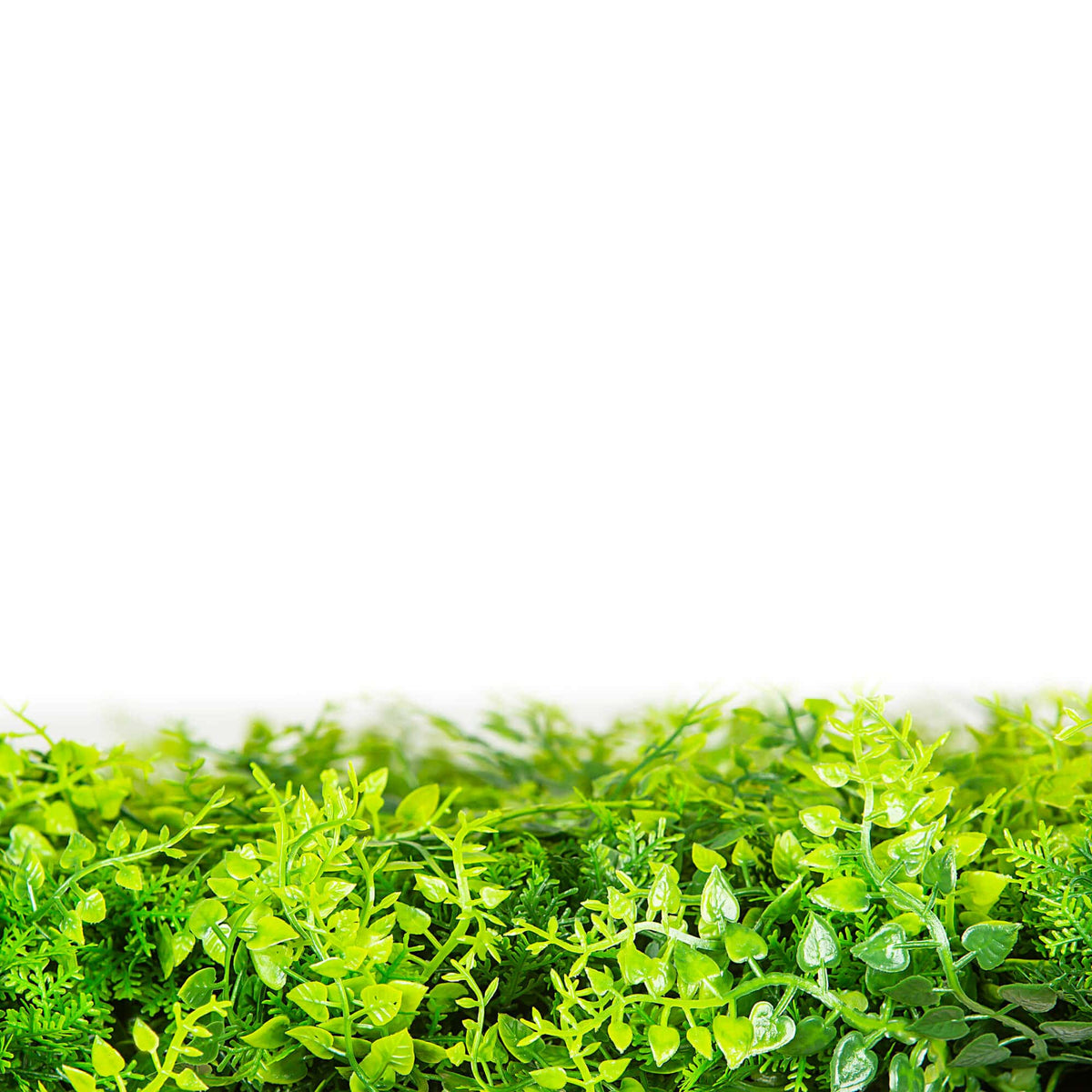 Sample Panel – Lush Fern Green Wall (Small Sample)