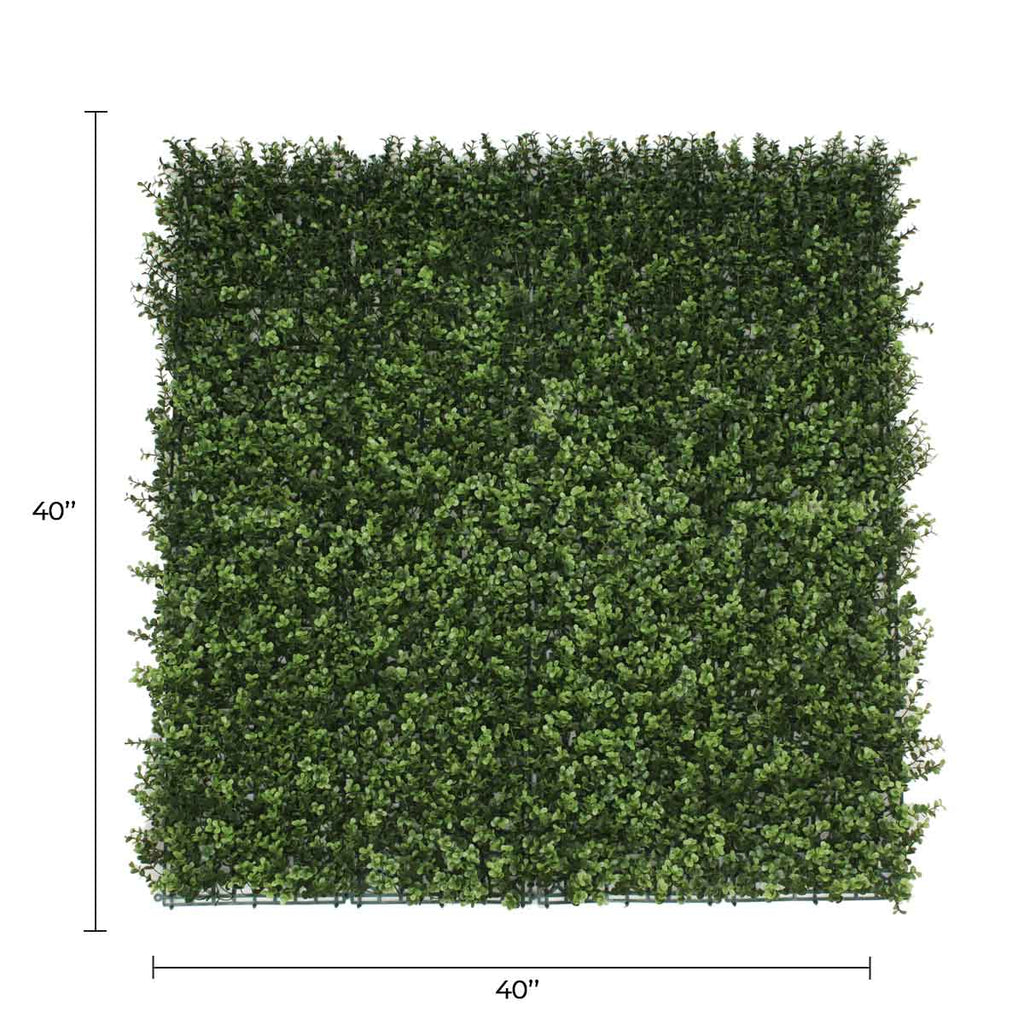 Natural Boxwood Artificial Vertical Garden Green Wall Panel 40×40in 11 SQ FT – UV Resistant – Commercial Grade