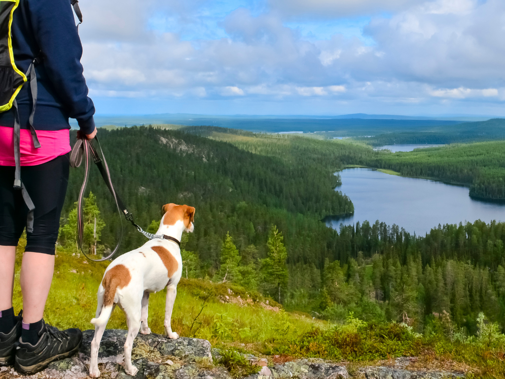 Pet Loss Memorial Tree Gift - Plant a Tree in Memory in a National Forest & Send a Personalized Card