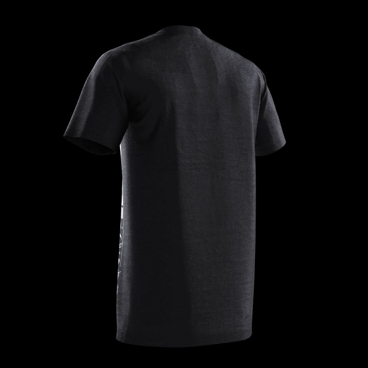 M3-W (Holographic)