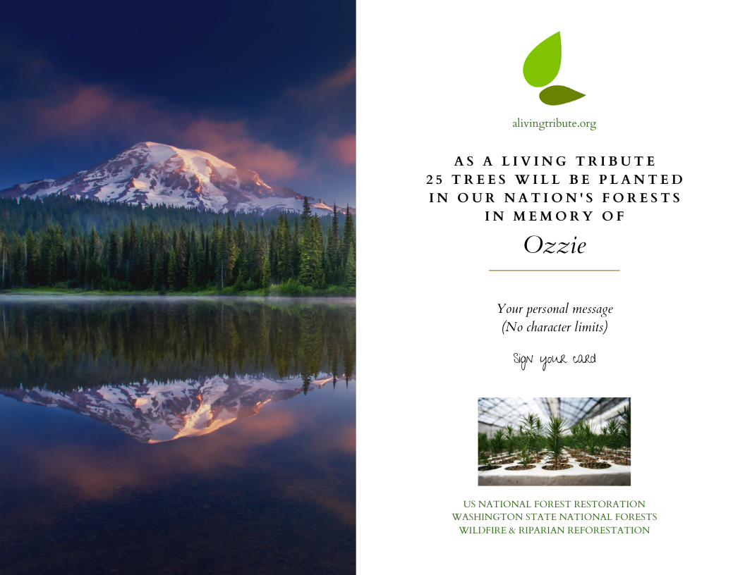 Pet Loss Memorial Tree Gift - Plant a Tree in Memory in a National Forest & Send a Personalized Card