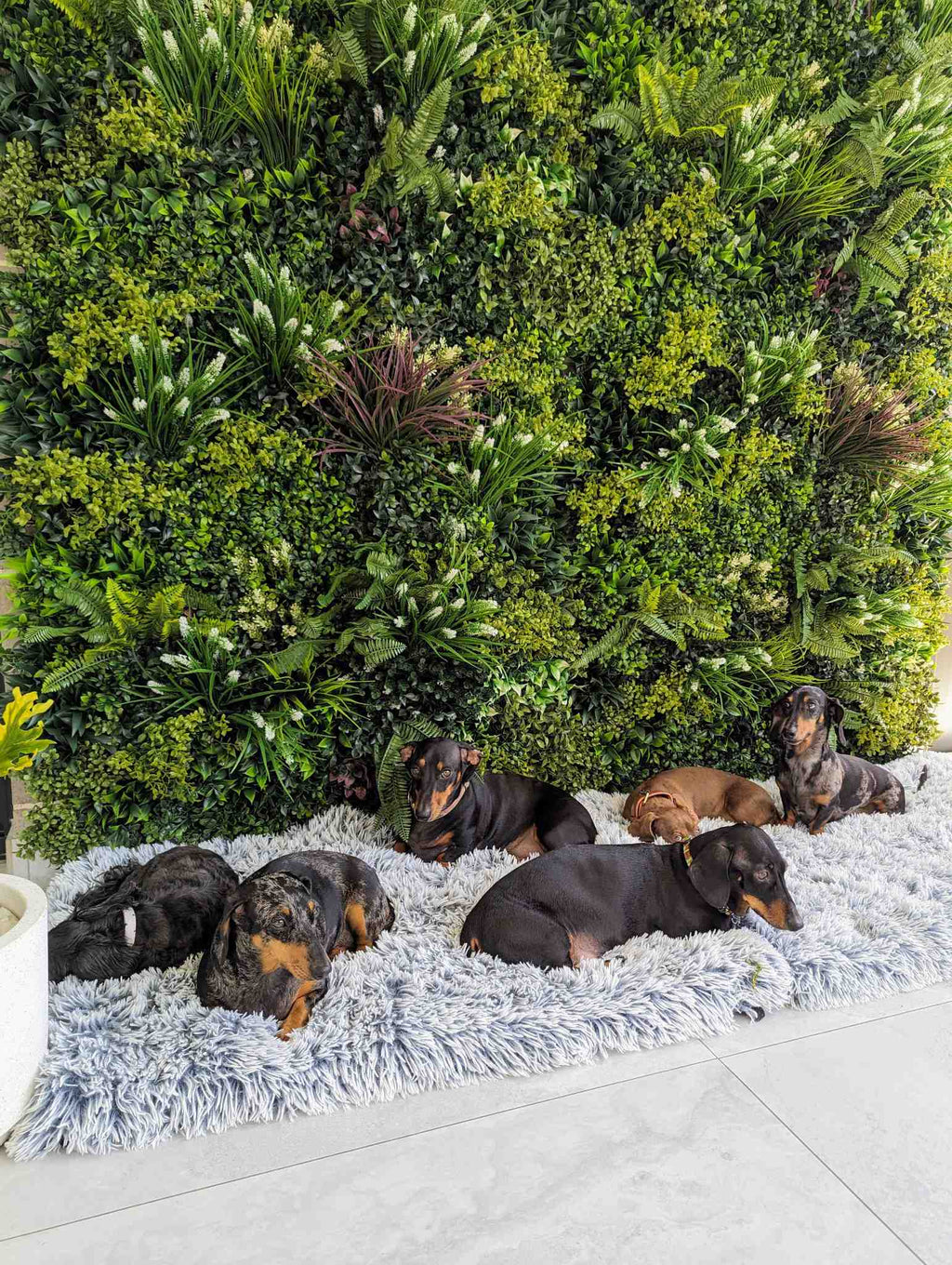 Sample Panel – Lush Spring Vertical Garden (Small Sample)