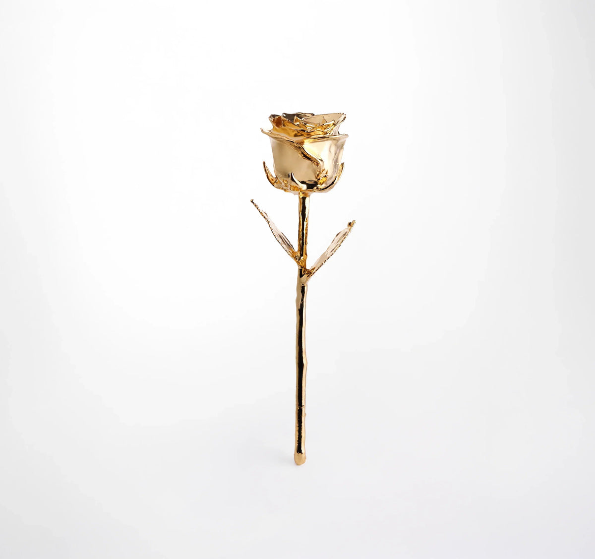 24 Karat Gold Plated Rose 11.5" - Royal Navy Blue Box