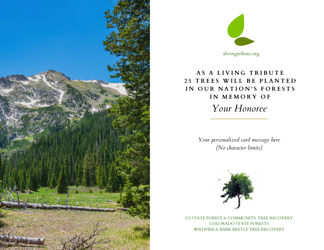 Plant a Tree for Someone & Restore a Community - A Living Tribute