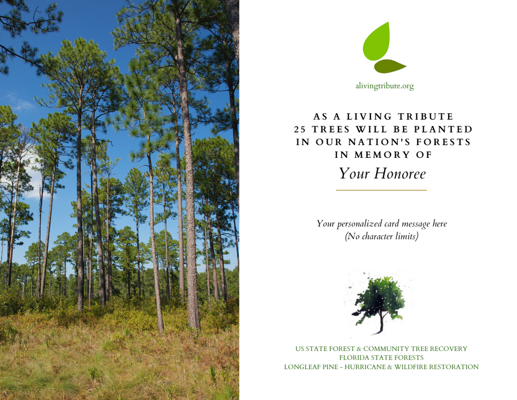 Plant a Tree for Someone & Restore a Community - A Living Tribute