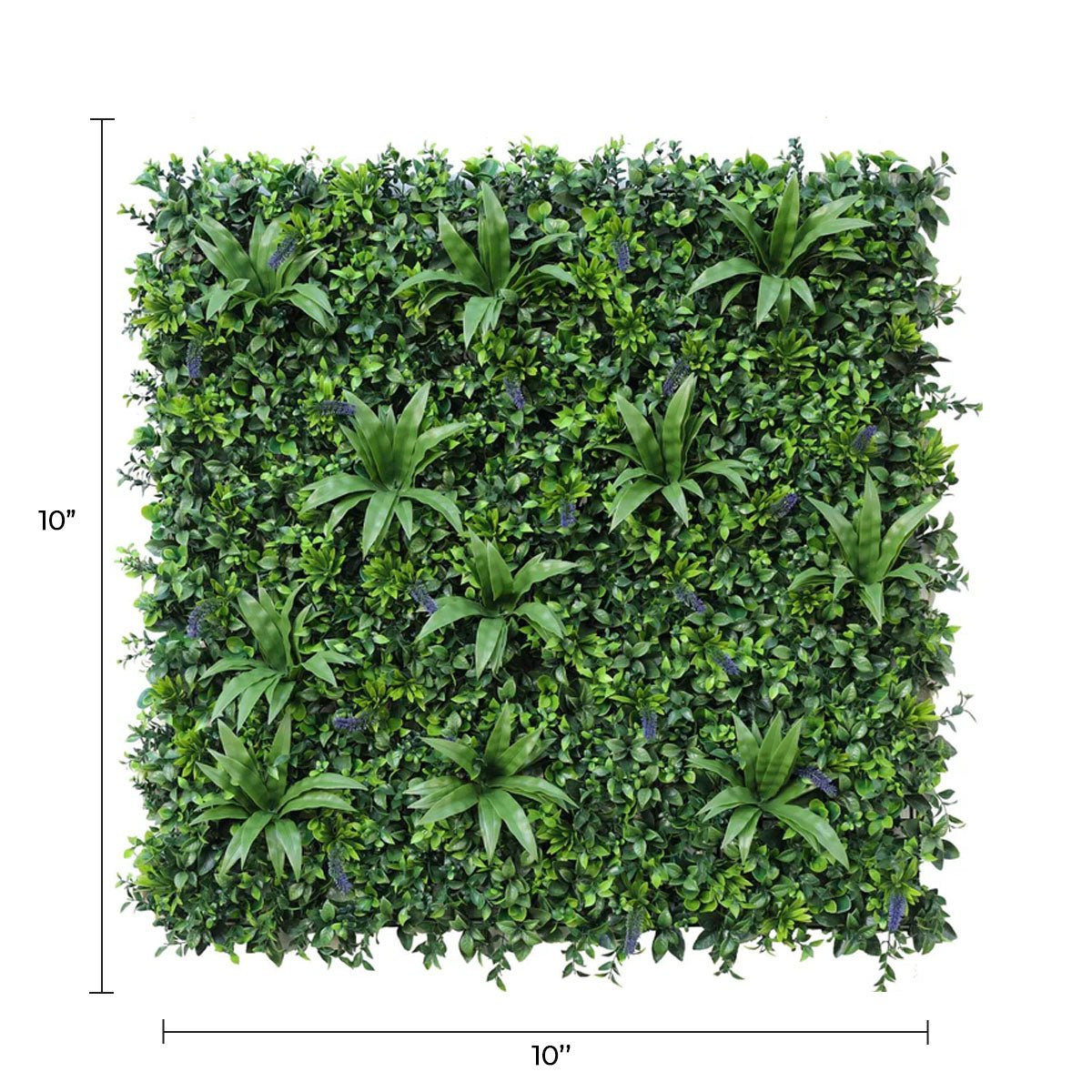 Sample Panel – Lavender Fields Green Wall (Small Sample)