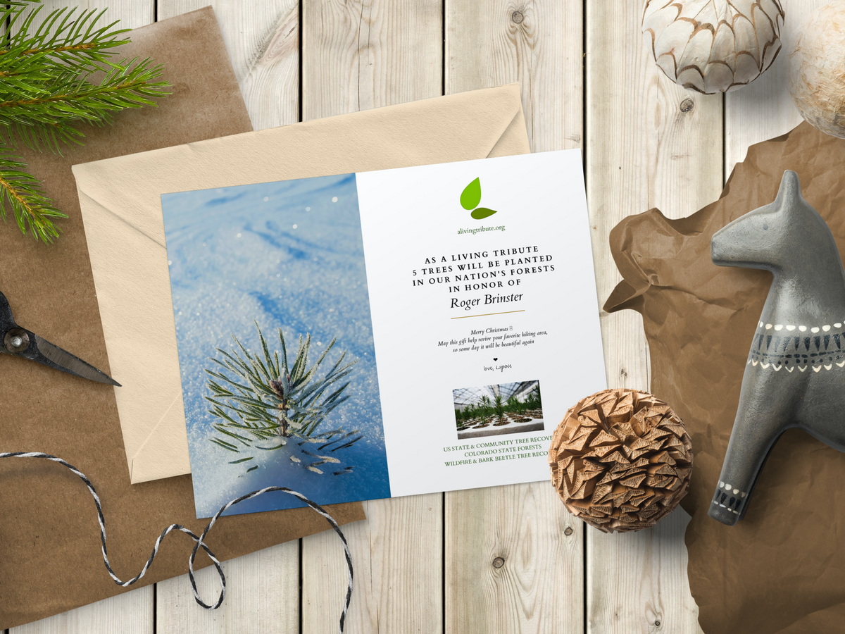 Plant a Tree Holiday Card 2026