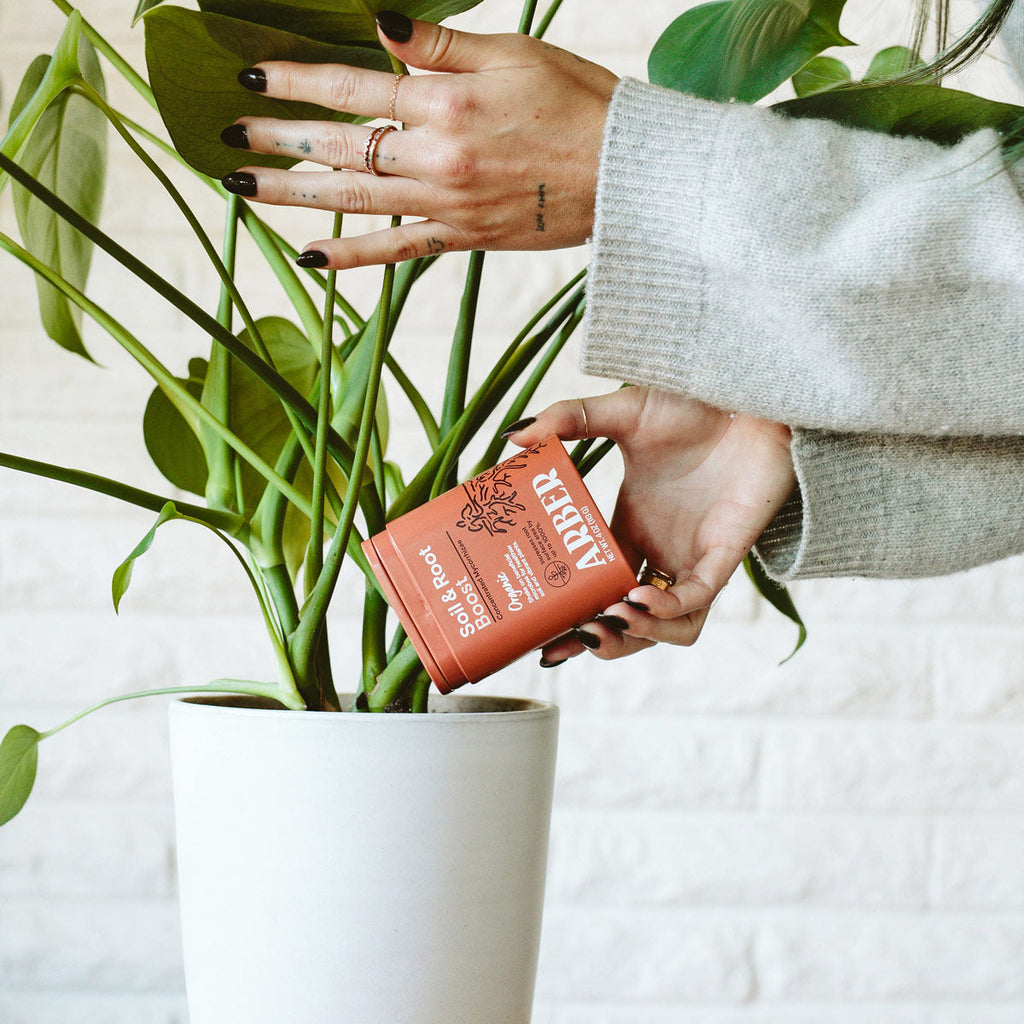 Organic Soil & Root Boost - House Plant Shop