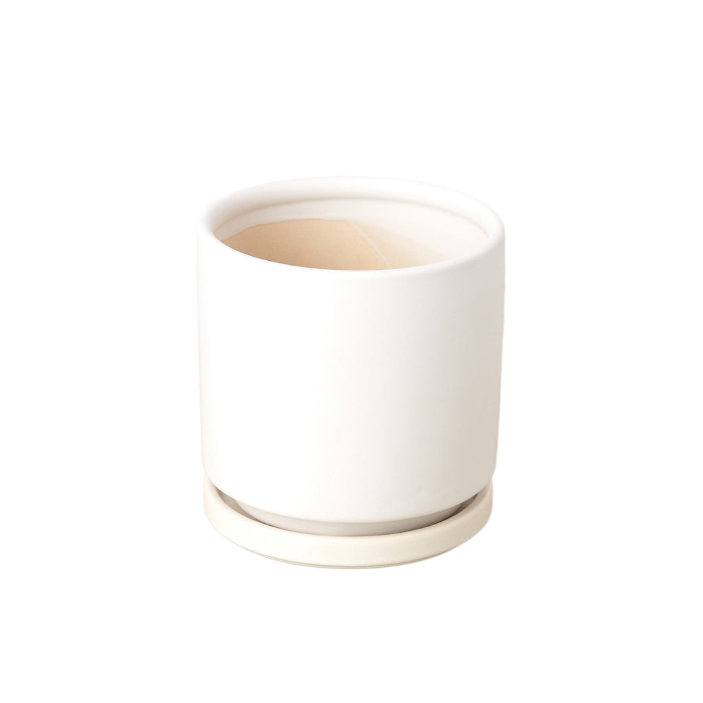 Cylinder Pot - 4 and 6 Inch - House Plant Shop