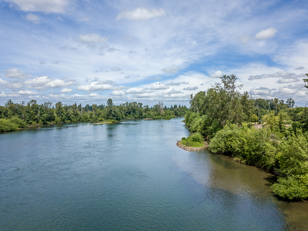 Plant a Tree for Someone in Oregon - Oregon Memorial Trees