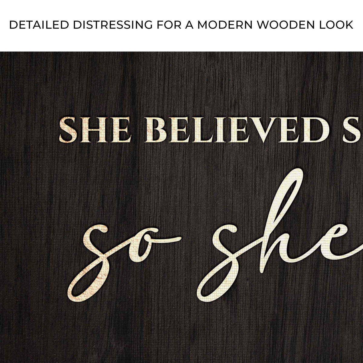 She Believed She Could So She Did Sign II