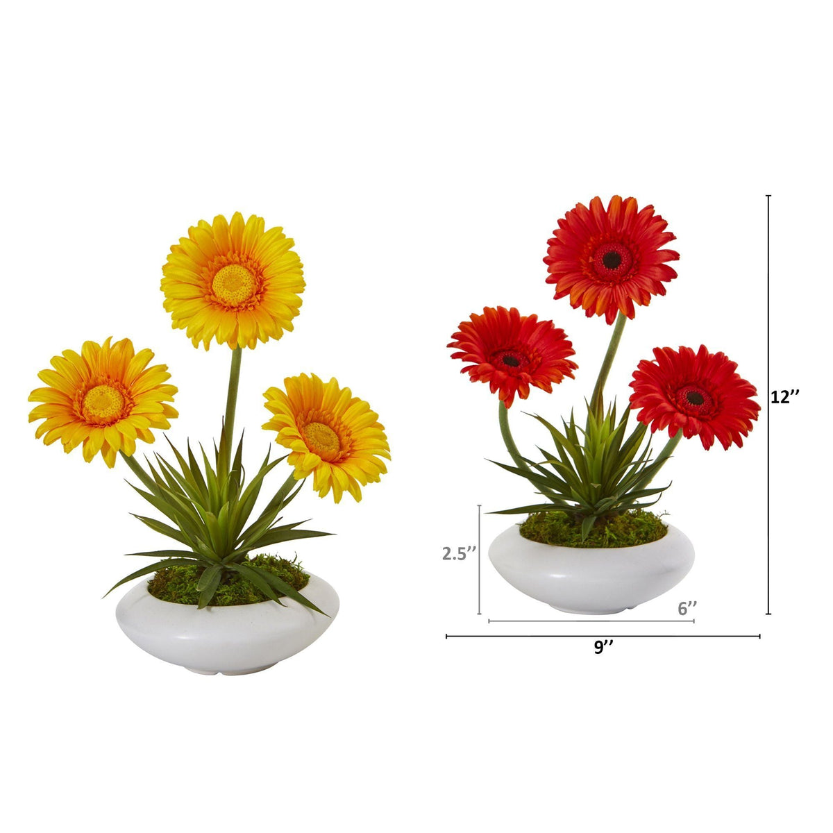12” Gerber and Succulent Arrangement in Vase (Set of 2)