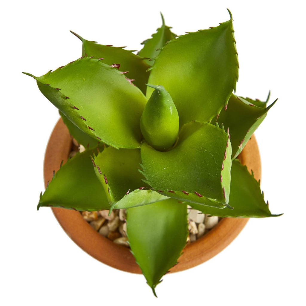12” Succulent Artificial Plant in Glazed Ceramic Vase (Set of 2)