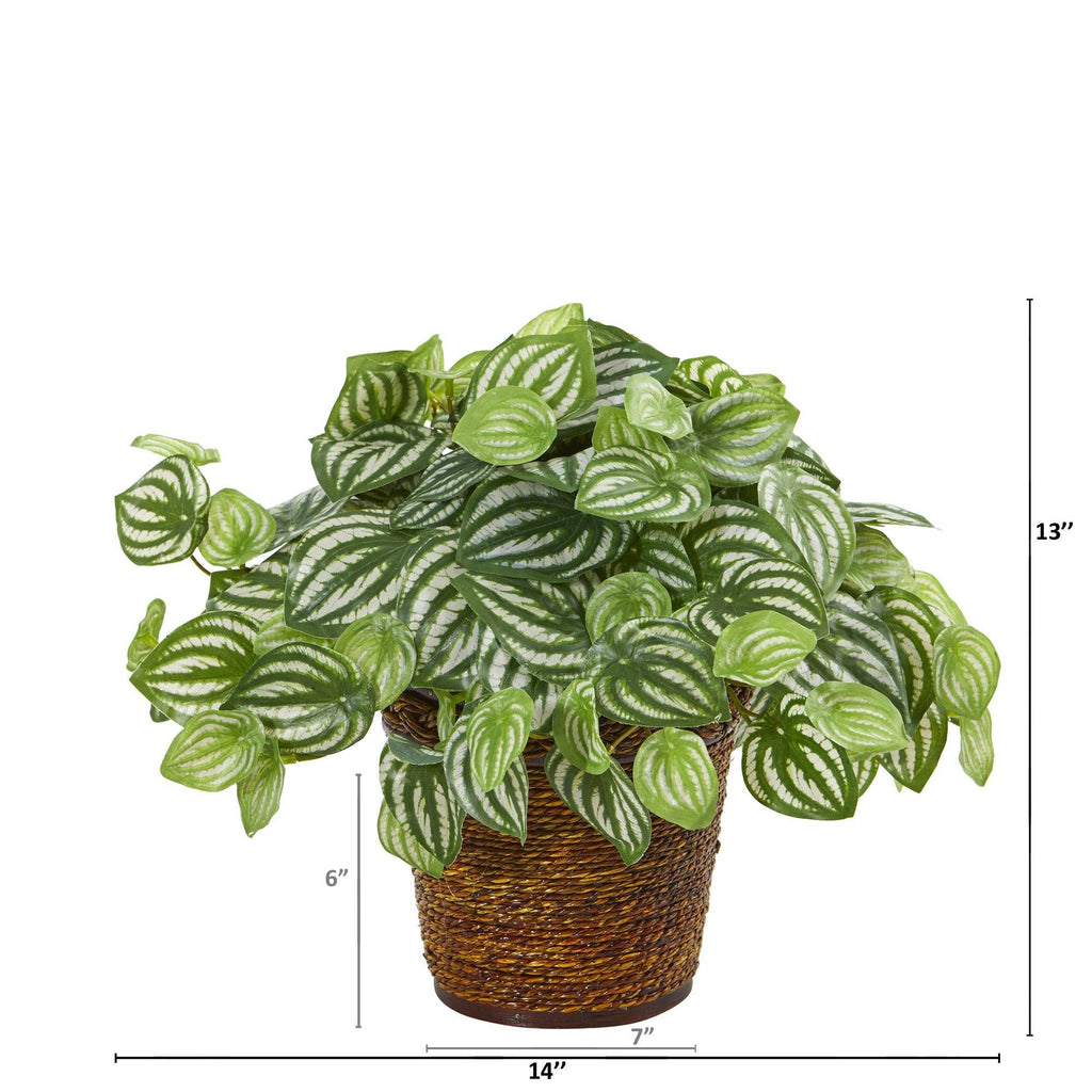 13” Watermelon Peperomia Artificial Plant in Basket (Real Touch)