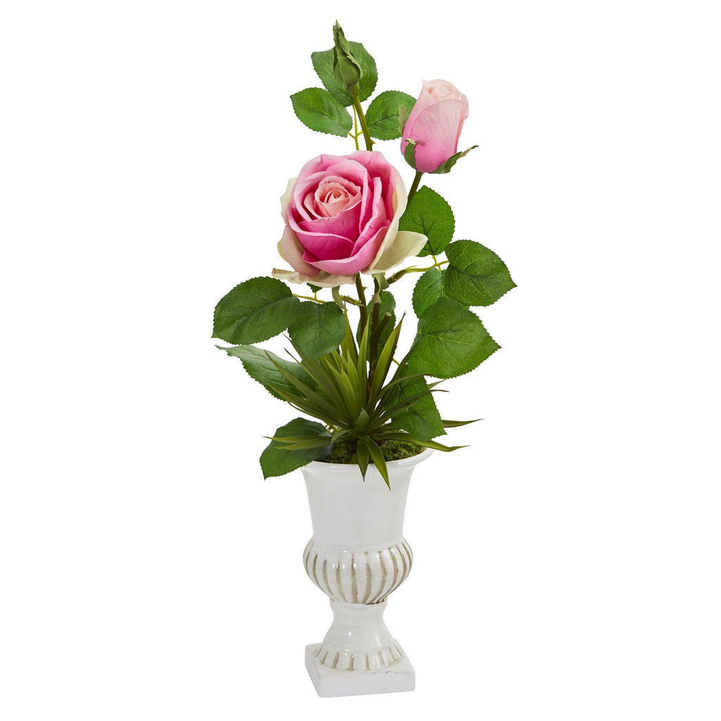 18” Rose and Agave Arrangement in White Urn (Set of 2)