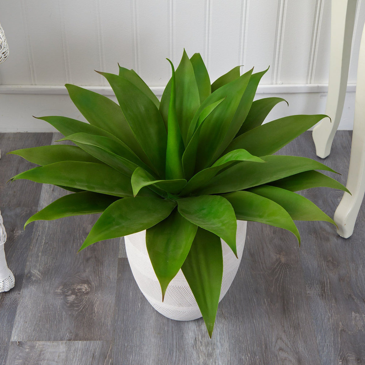 2’ Agave Succulent Artificial Plant in White Planter