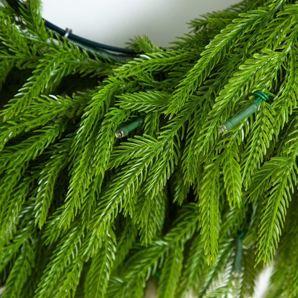 20" Pre-Lit Artificial Real Touch Norfolk Island Pine Wreath with 35 Warm White LED Lights and Natural Look