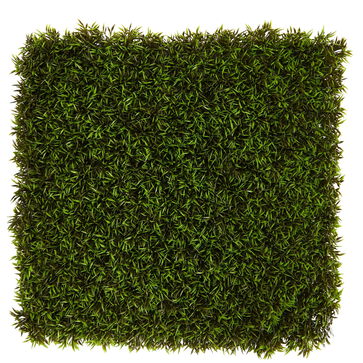 20” Mini Pordocarpus Artificial Wall Mat (Indoor/Outdoor) (Set of 2)
