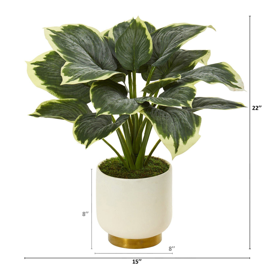 22” Variegated Hosta Artificial Plant in Cream Planter with Gold Base