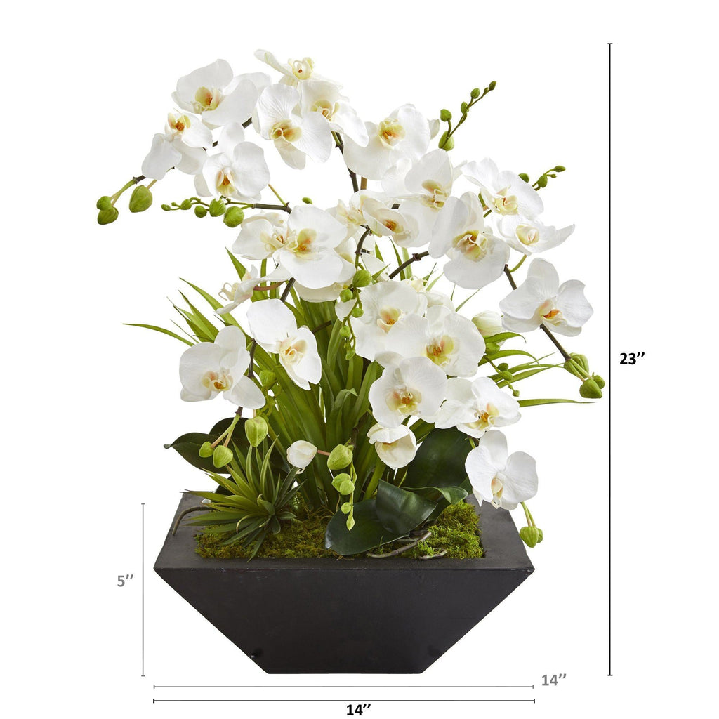 23” Phalaenopsis Orchid and Succulent Artificial Arrangement in Vase