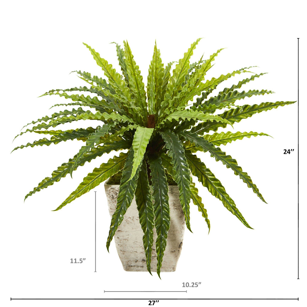 24” Asplenium Artificial Plant in Country White Planter