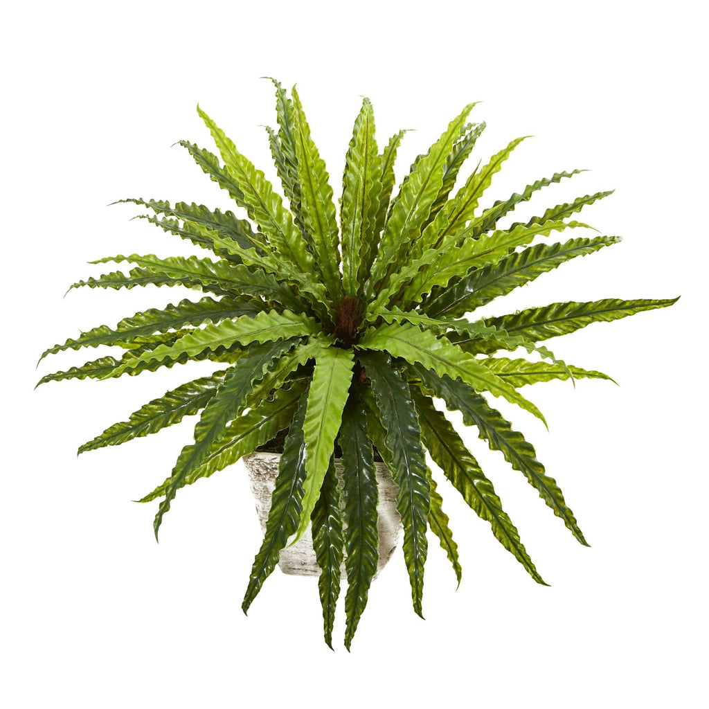 24” Asplenium Artificial Plant in Country White Planter
