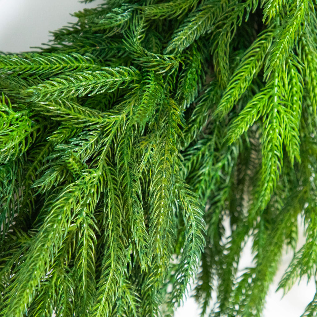 24" Artificial Real Touch Norfolk Island Pine Wreath with Natural Look