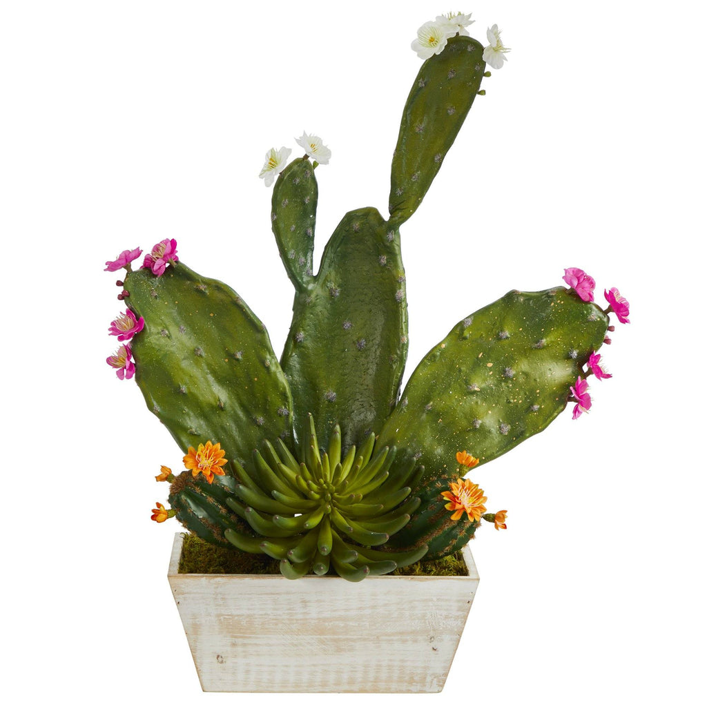 24” Mixed Cactus Succulent Artificial Plant in White Wash Planter