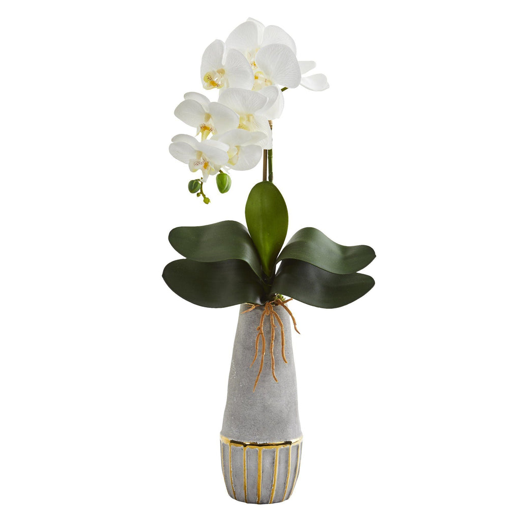 24” Phalaenopsis Orchid Artificial Arrangement in Stoneware Vase with Gold Trimming